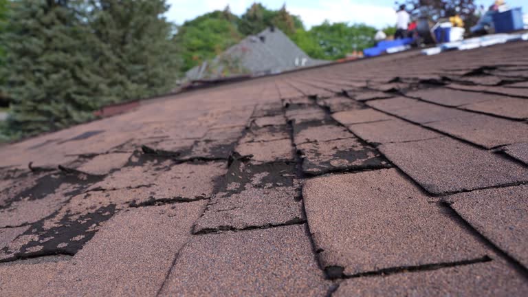 Best Emergency Roof Repair Services  in Platte City, MO