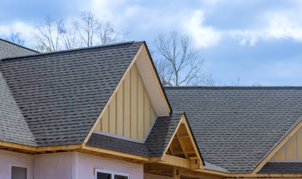 Best Roof Insulation Installation  in Platte City, MO