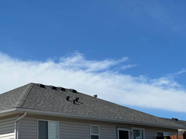 Best Asphalt Shingles Roofing  in Platte City, MO